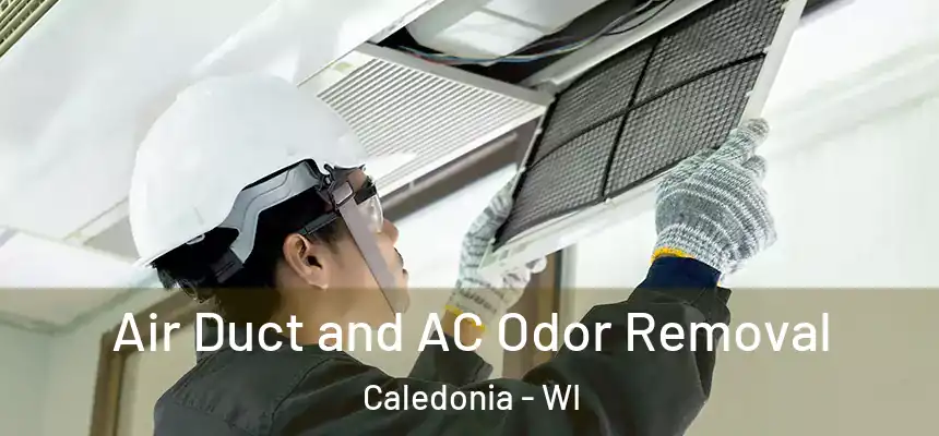 Air Duct and AC Odor Removal Caledonia - WI