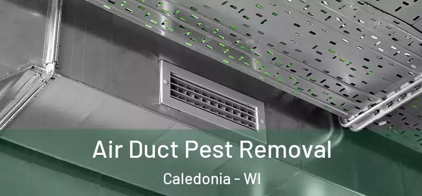 Air Duct Pest Removal Caledonia - WI
