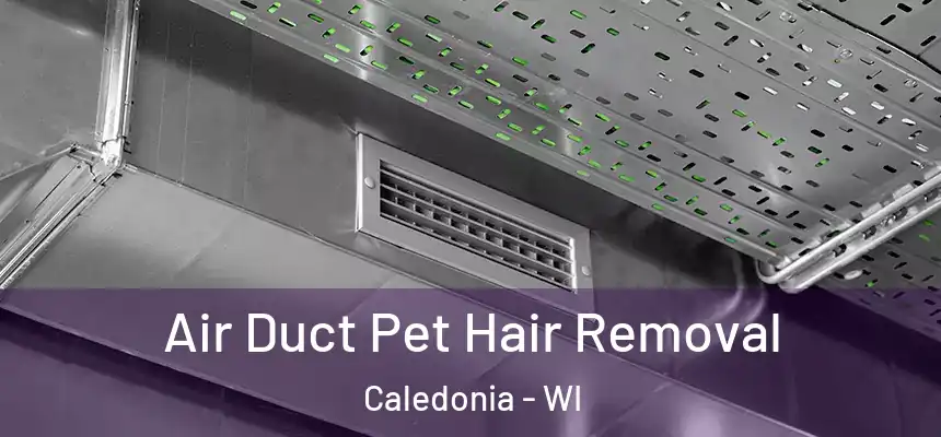 Air Duct Pet Hair Removal Caledonia - WI