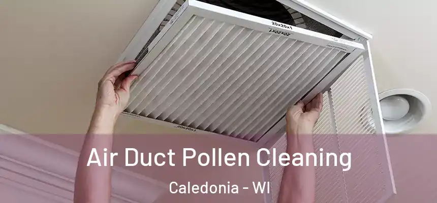 Air Duct Pollen Cleaning Caledonia - WI