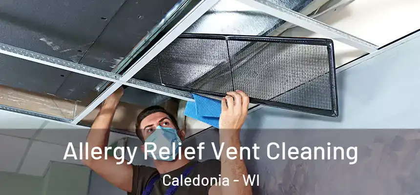 Allergy Relief Vent Cleaning Caledonia - WI