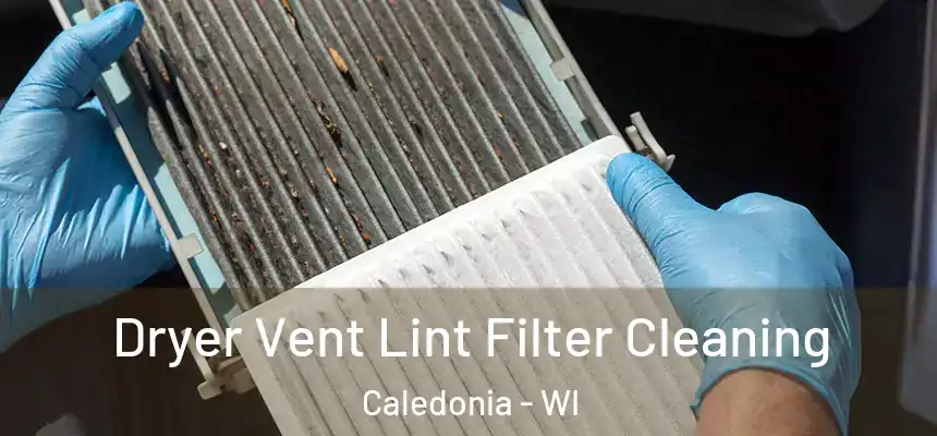  Dryer Vent Lint Filter Cleaning Caledonia - WI