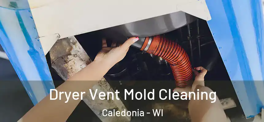  Dryer Vent Mold Cleaning Caledonia - WI