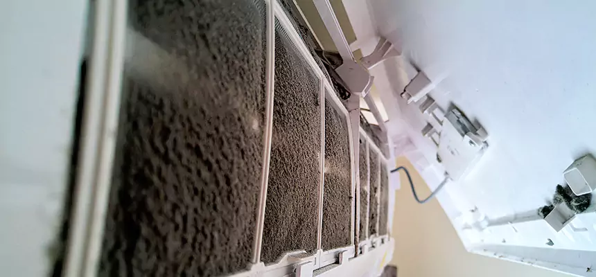 Preventive Air Duct Bacteria Removal in Caledonia