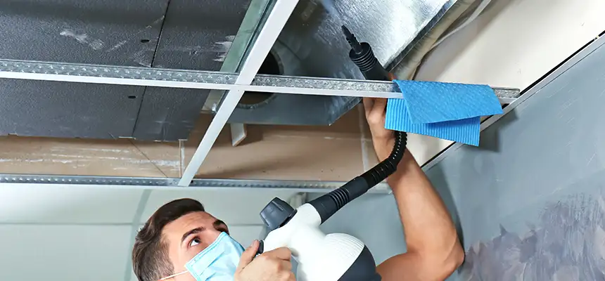 Our Air Duct Rodent Removal Services in Caledonia, WI