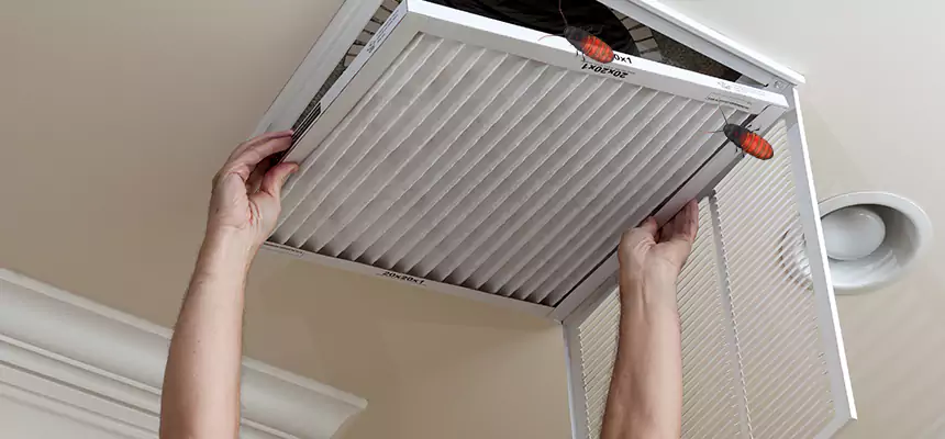 Our Insect Removal from Air Ducts Services in Caledonia, WI