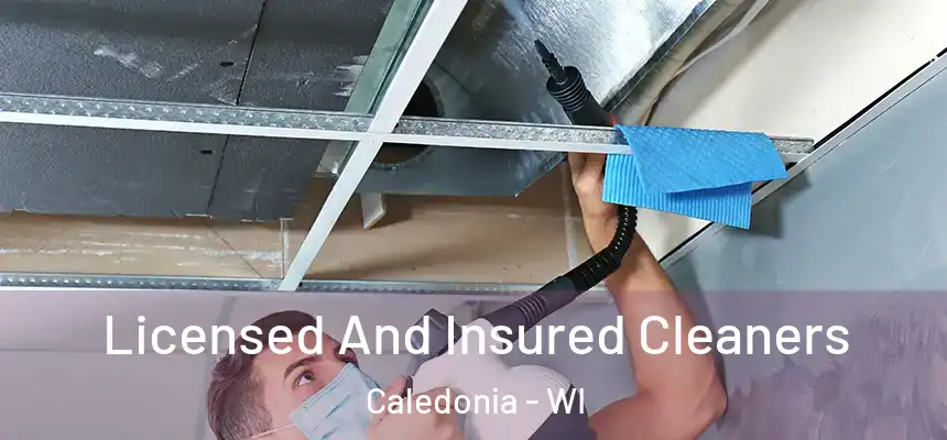 Licensed And Insured Cleaners Caledonia - WI