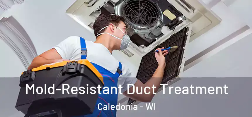 Mold-Resistant Duct Treatment Caledonia - WI
