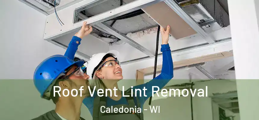 Roof Vent Lint Removal Caledonia - WI