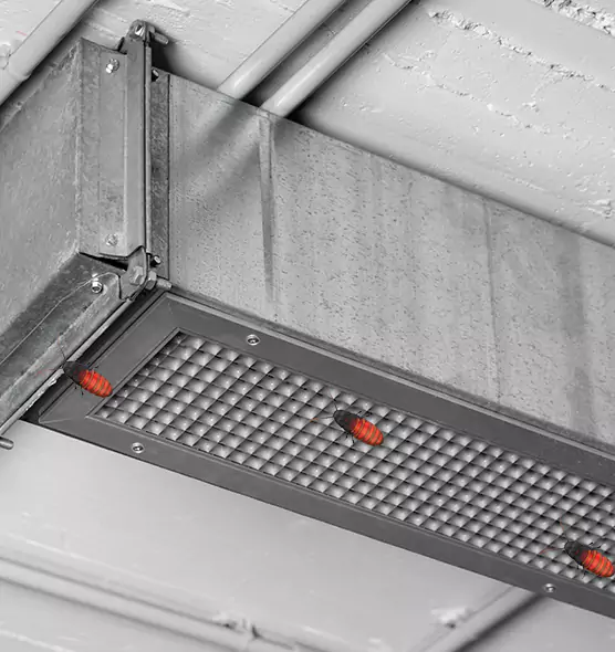 About Air Duct Cockroach Removal in Caledonia, WI