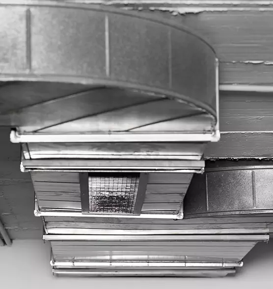 Professional Air Duct Pet Hair Removal in Caledonia, WI