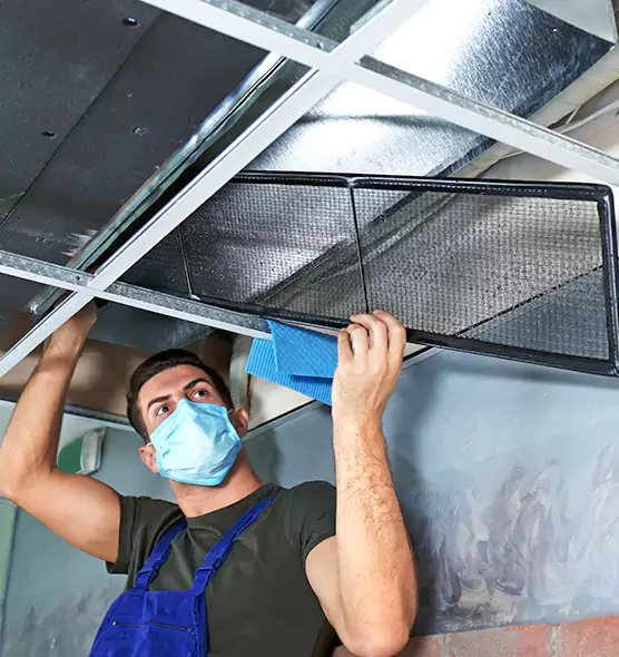 Professional Air Duct Pollen Cleaning in Caledonia, WI