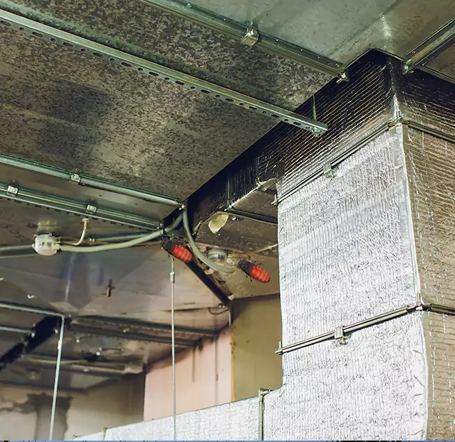 Why Homeowners & Businesses Trust Us in Caledonia, WI?