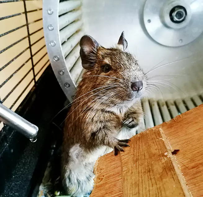 Why Homeowners & Businesses Trust Us Caledonia, WI