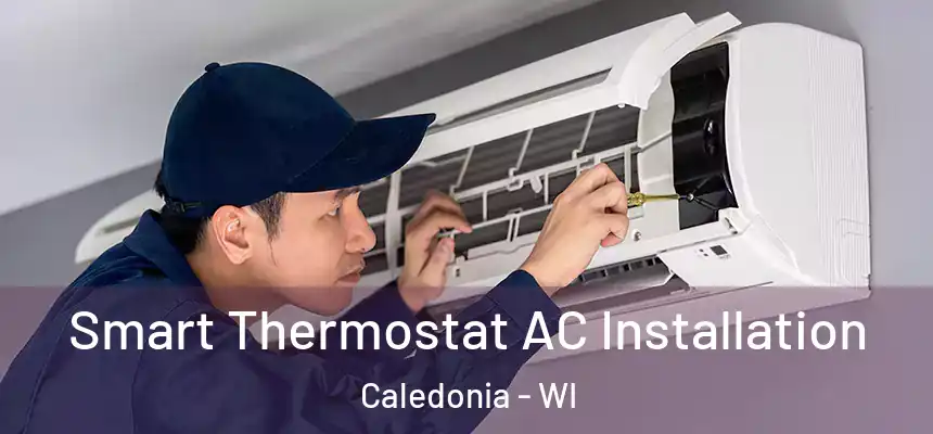  Smart Thermostat AC Installation Caledonia - WI